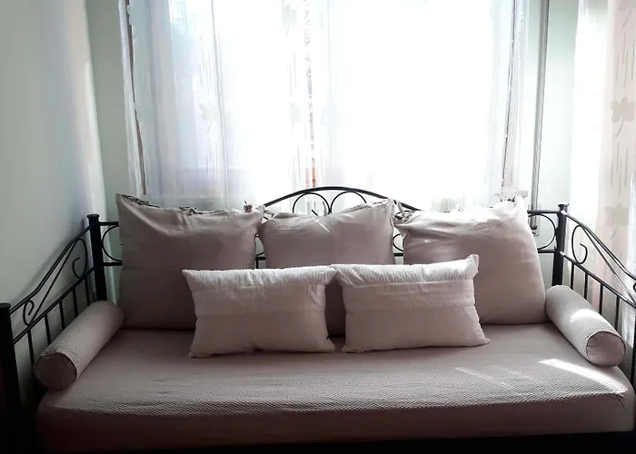 Le Mi' Cocche Capannori